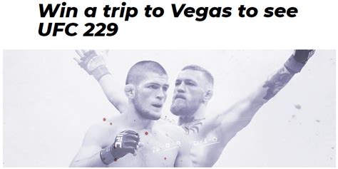 bovada ufc 229